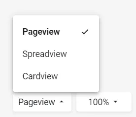 Voorbeeld pageview