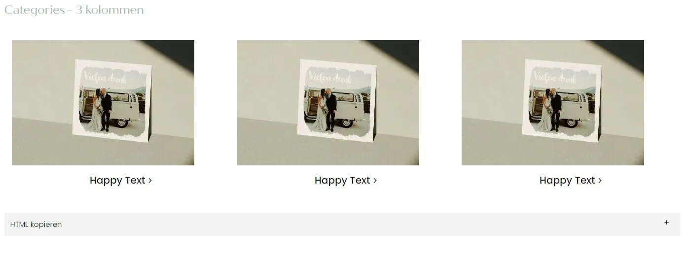 Voorbeeld styleguide