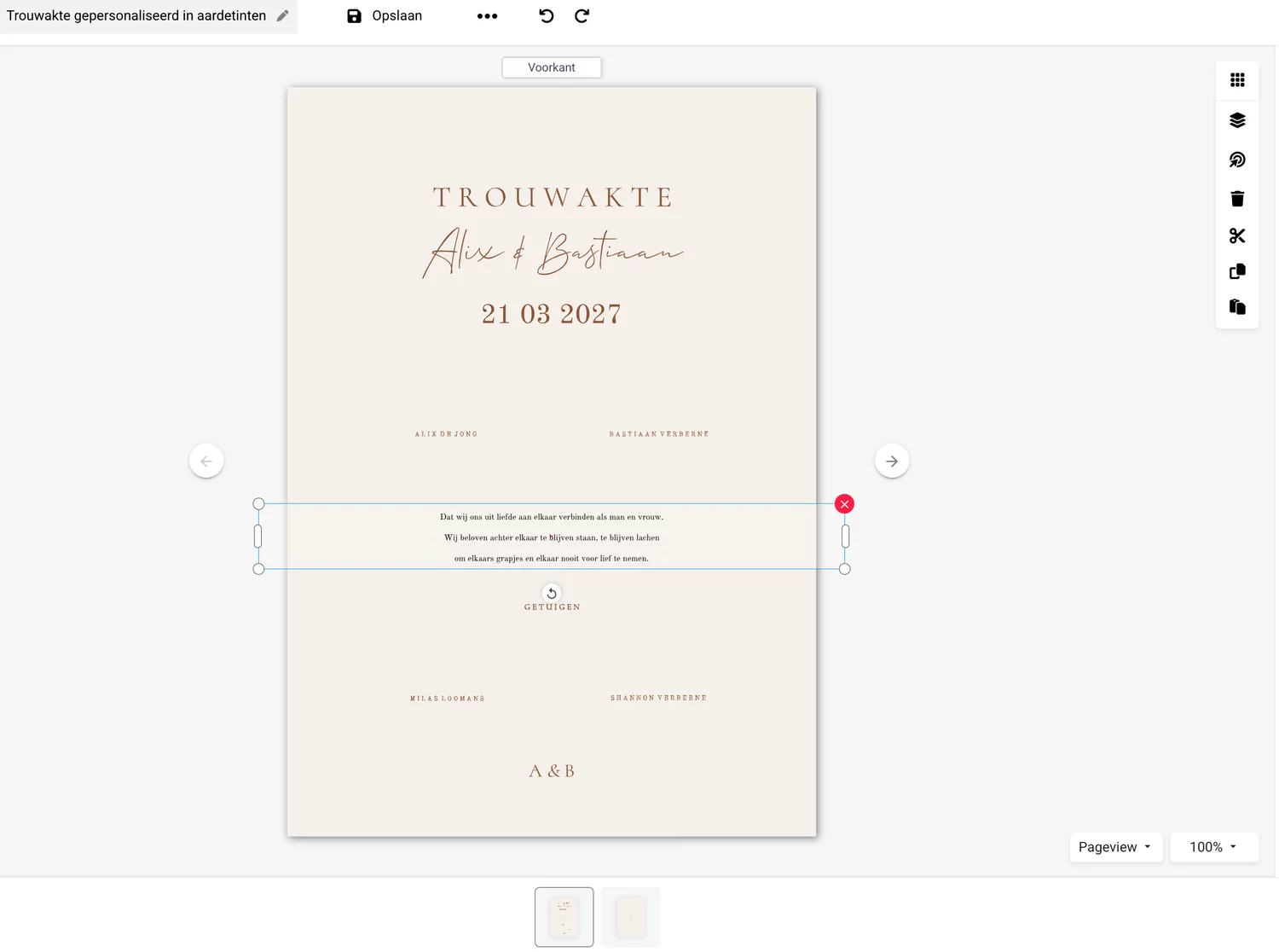 Voorbeeld Editor