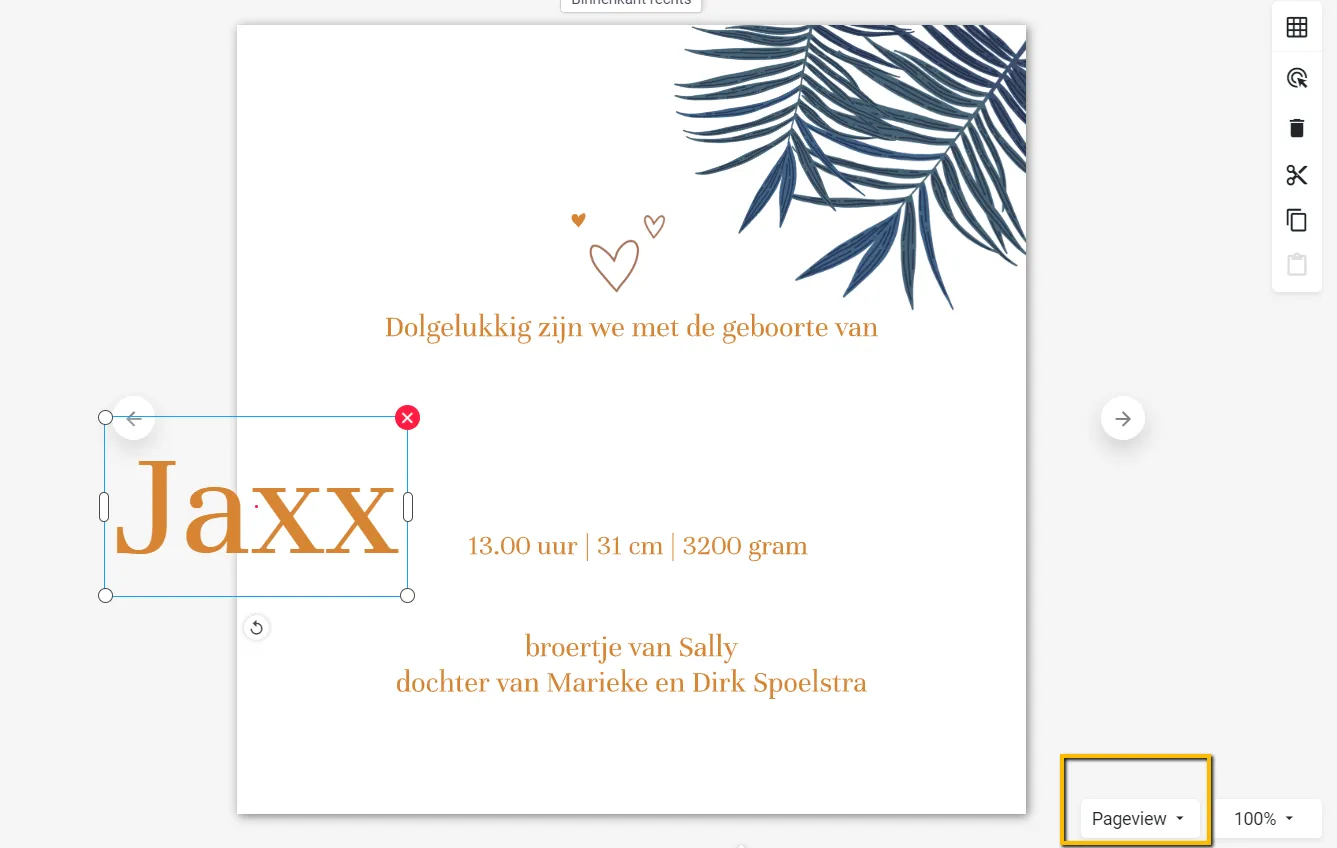 Fout Pageview