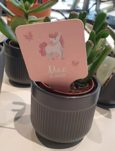 Inspiratie Labels