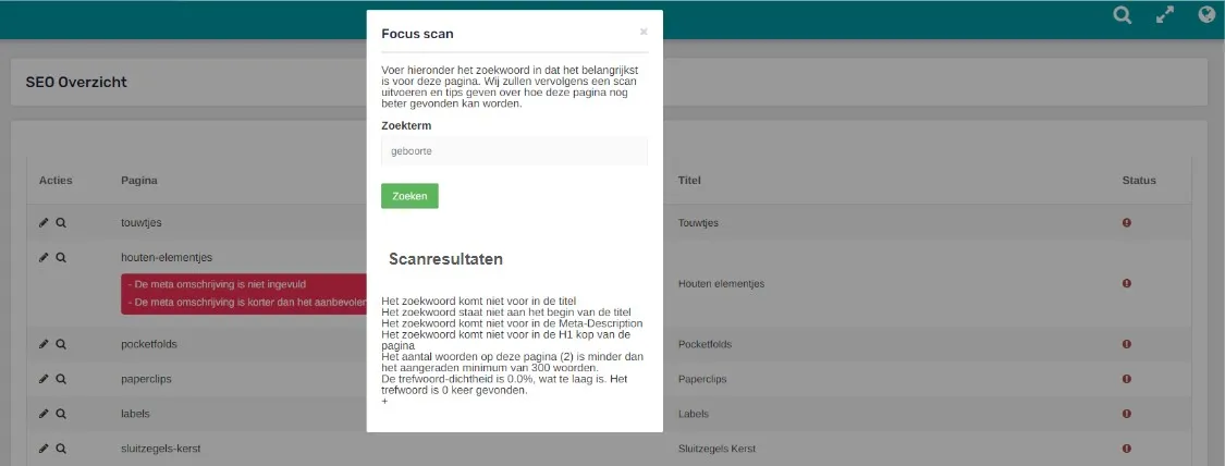 SEO scanresultaten